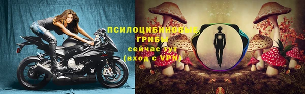 mdpv Магадан